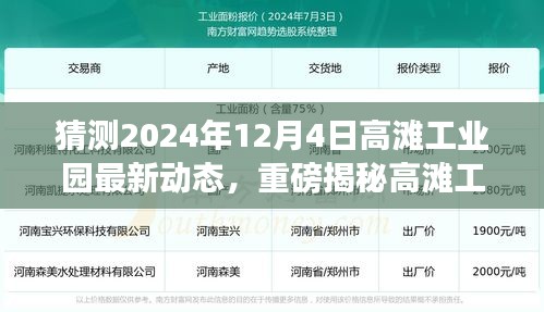 揭秘高滩工业园未来动向，预测高滩工业园最新动态，重磅揭秘未来规划（2024年12月4日）