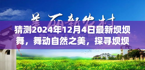 探寻坝坝舞之美，舞动自然与心灵之旅的交融（2024年最新坝坝舞探索）