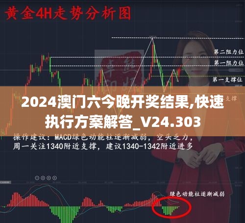 2024澳门六今晚开奖结果,快速执行方案解答_V24.303