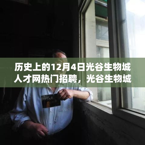 历史上的12月4日光谷生物城人才网招聘盛事，探寻自然美景的心灵之旅