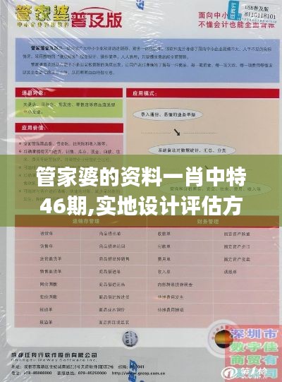 管家婆的资料一肖中特46期,实地设计评估方案_DX版13.308