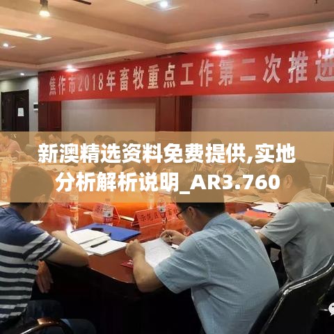 新澳精选资料免费提供,实地分析解析说明_AR3.760