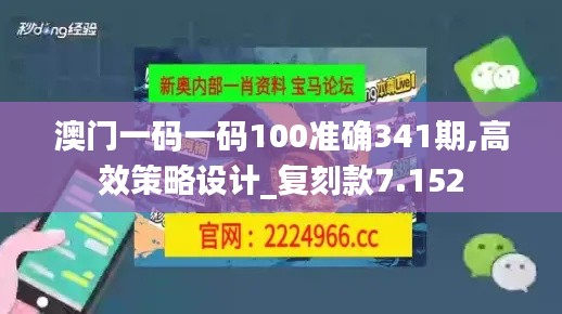 澳门一码一码100准确341期,高效策略设计_复刻款7.152