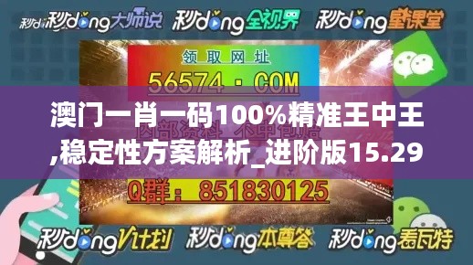 澳门一肖一码100%精准王中王,稳定性方案解析_进阶版15.298