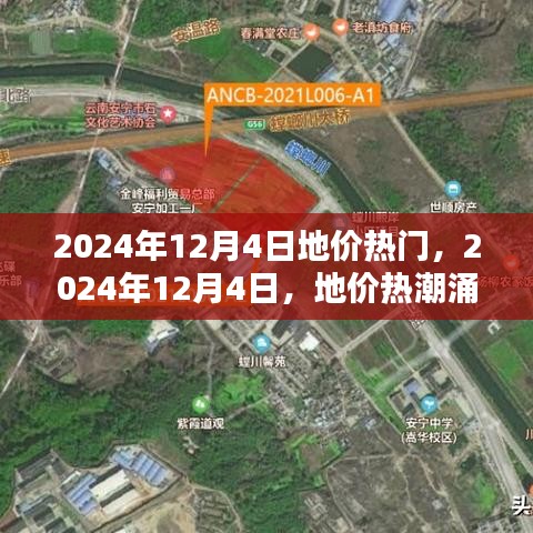 地价热潮涌动之时，聚焦2024年12月4日热门地价事件