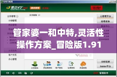 管家婆一和中特,灵活性操作方案_冒险版1.912