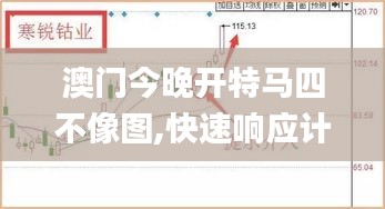 澳门今晚开特马四不像图,快速响应计划分析_投资版7.341