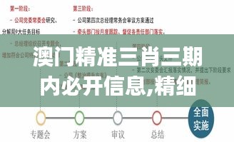 澳门精准三肖三期内必开信息,精细分析解释定义_精简版3.138