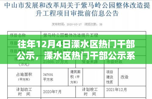 溧水区干部公示系统全新升级，智能公示引领未来，科技打造公示新风尚