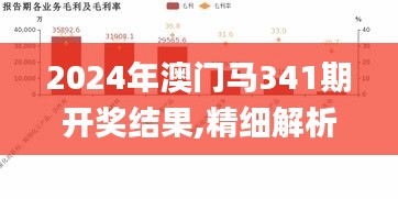 2024年澳门马341期开奖结果,精细解析评估_高级款3.276