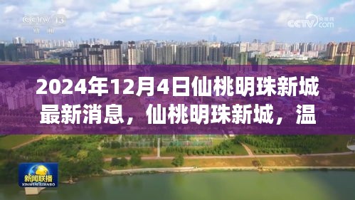 仙桃明珠新城，美好邂逅与温馨日常的最新消息（2024年12月4日）