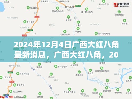 广西大红八角最新消息，2024年12月4日动态与深远影响分析