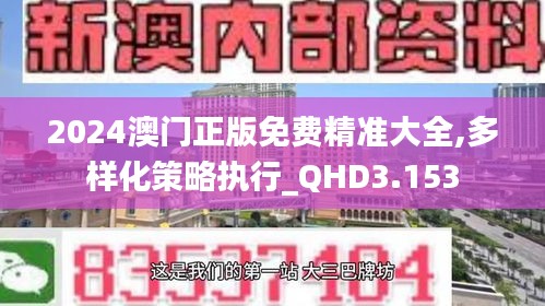 2024澳门正版免费精准大全,多样化策略执行_QHD3.153