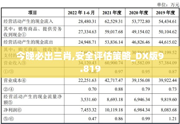 今晚必出三肖,安全评估策略_DX版9.819