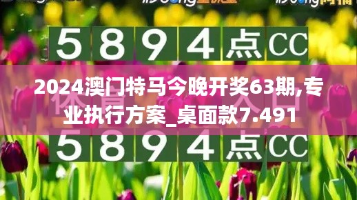 2024澳门特马今晚开奖63期,专业执行方案_桌面款7.491