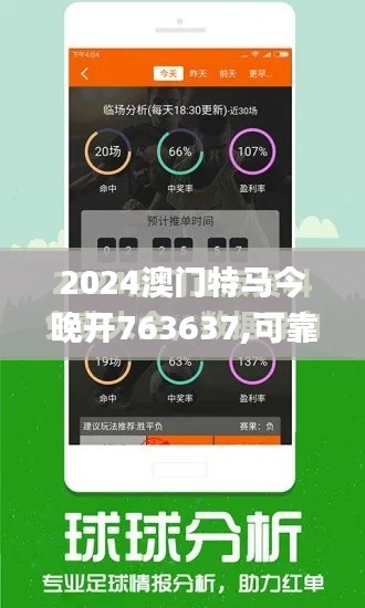 2024澳门特马今晚开763637,可靠性执行策略_HDR版4.695