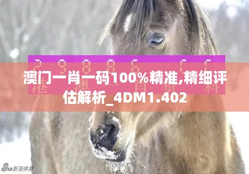 澳门一肖一码100%精准,精细评估解析_4DM1.402