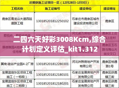 二四六天好彩3008Kcm,综合计划定义评估_kit1.312