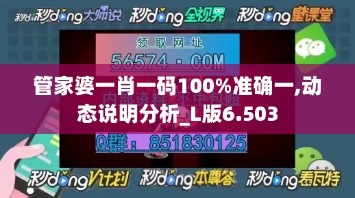 管家婆一肖一码100%准确一,动态说明分析_L版6.503