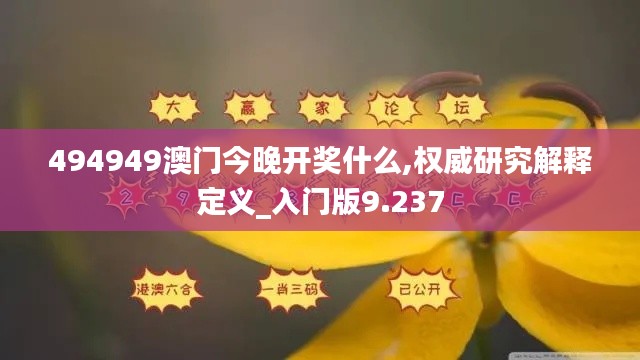 494949澳门今晚开奖什么,权威研究解释定义_入门版9.237