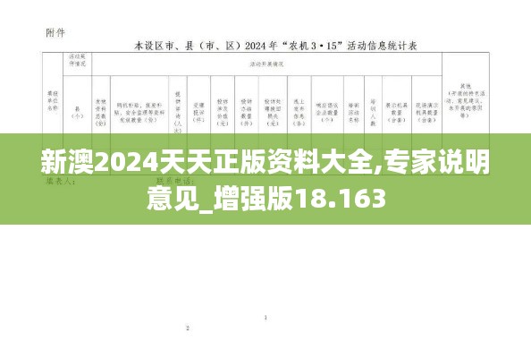 新澳2024天天正版资料大全,专家说明意见_增强版18.163