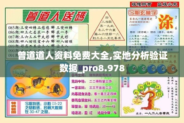 曾道道人资料免费大全,实地分析验证数据_pro8.978