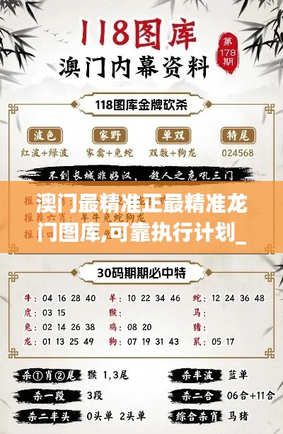 澳门最精准正最精准龙门图库,可靠执行计划_特别版6.793