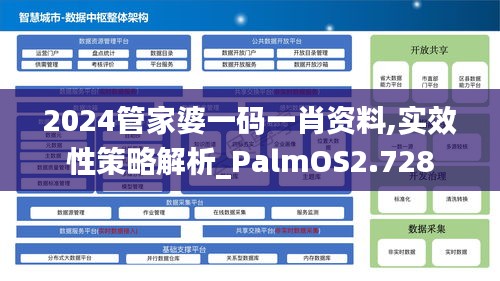 2024管家婆一码一肖资料,实效性策略解析_PalmOS2.728