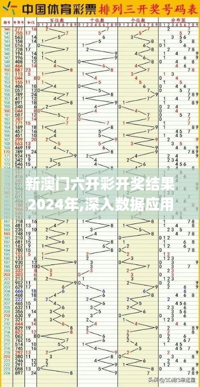 新澳门六开彩开奖结果2024年,深入数据应用计划_领航版9.526