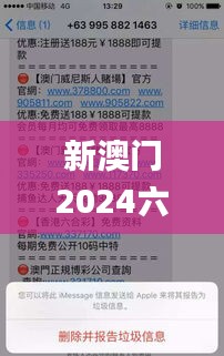 新澳门2024六台彩查询结果,快速解答解释定义_交互版8.272