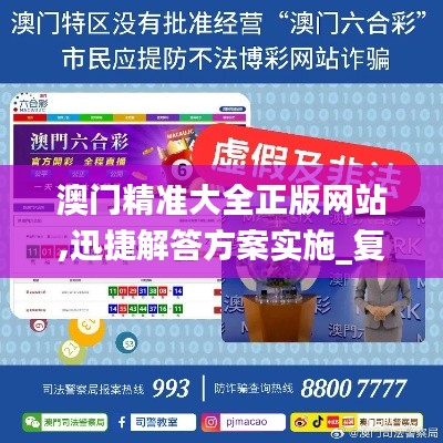 澳门精准大全正版网站,迅捷解答方案实施_复古版8.242