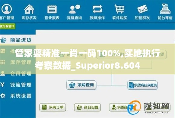 管家婆精准一肖一码100%,实地执行考察数据_Superior8.604