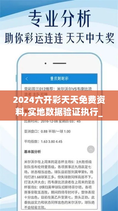 2024六开彩天天免费资料,实地数据验证执行_FHD1.101