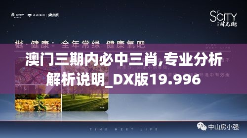 澳门三期内必中三肖,专业分析解析说明_DX版19.996