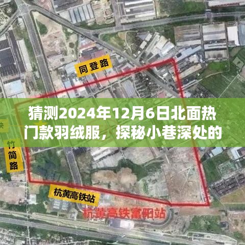 探秘未来时尚秘境，揭秘2024年热门款羽绒服潮流趋势，深入小巷探寻时尚风采