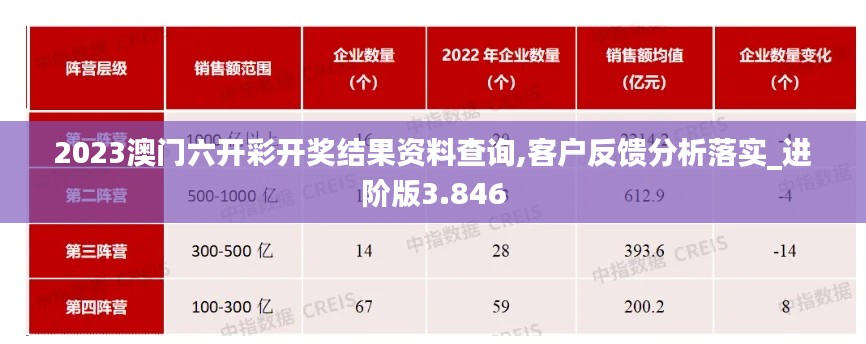 2023澳门六开彩开奖结果资料查询,客户反馈分析落实_进阶版3.846