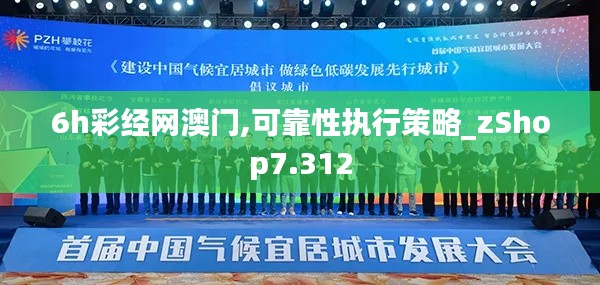 6h彩经网澳门,可靠性执行策略_zShop7.312