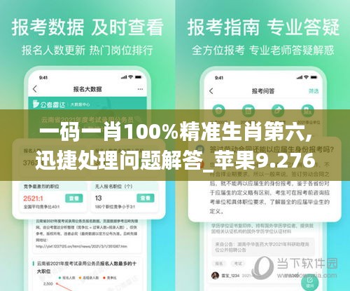 一码一肖100%精准生肖第六,迅捷处理问题解答_苹果9.276