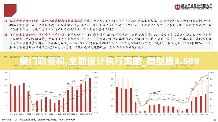 奥门彩资料,全面设计执行策略_微型版3.509