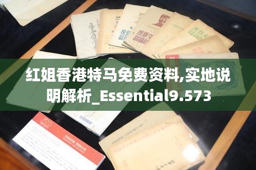 红姐香港特马免费资料,实地说明解析_Essential9.573