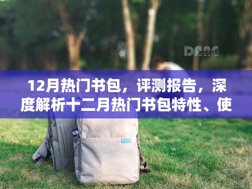 十二月热门书包评测报告，特性深度解析、使用体验与目标用户群体分析