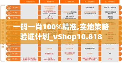 一码一肖100%精准,实地策略验证计划_vShop10.818