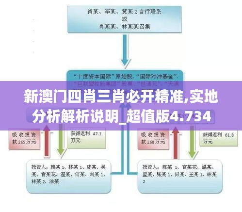 新澳门四肖三肖必开精准,实地分析解析说明_超值版4.734