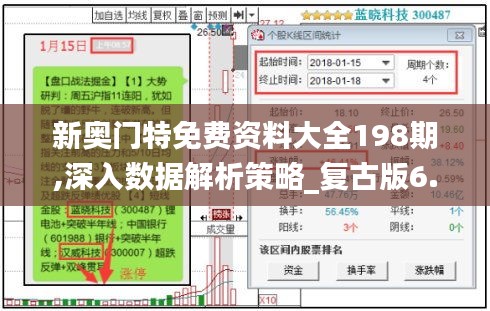 新奥门特免费资料大全198期,深入数据解析策略_复古版6.166