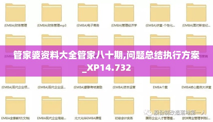 管家婆资料大全管家八十期,问题总结执行方案_XP14.732