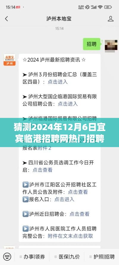 宜宾临港招聘网揭秘，未来热门职位预测与主人公的探寻之旅（2024年12月6日）