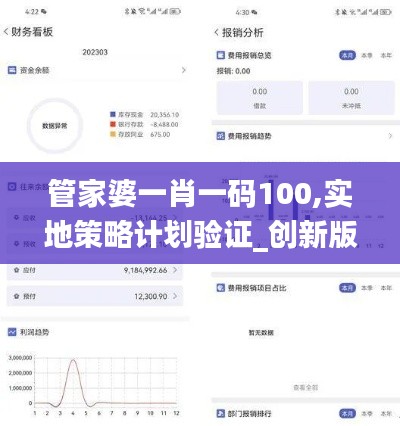 管家婆一肖一码100,实地策略计划验证_创新版9.498