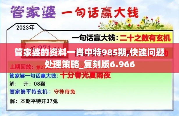 管家婆的资料一肖中特985期,快速问题处理策略_复刻版6.966