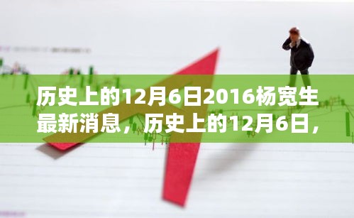 历史上的12月6日，杨宽生最新动态与综合评测揭秘