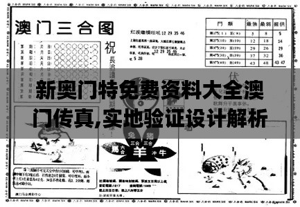 新奥门特免费资料大全澳门传真,实地验证设计解析_FT3.660